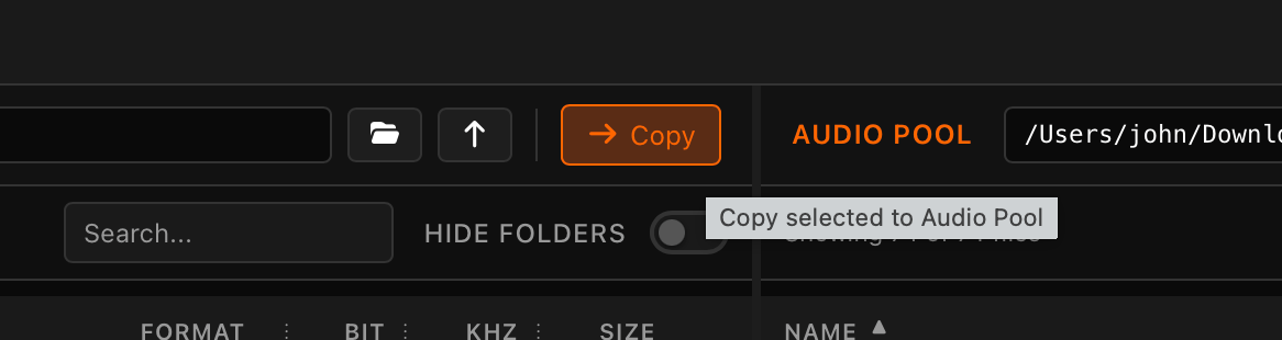 Copy selected Audio files from button